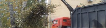 вывоз снега и мусора Вывоз мусора (порубочных остатков) и снега в екатеринбурге