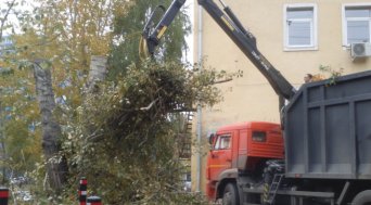 вывоз мусора на автомобилях Вывоз мусора (порубочных остатков) и снега в екатеринбурге